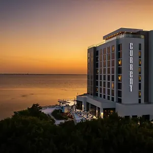 The Current Hotel, Autograph Collection Hotel Tampa